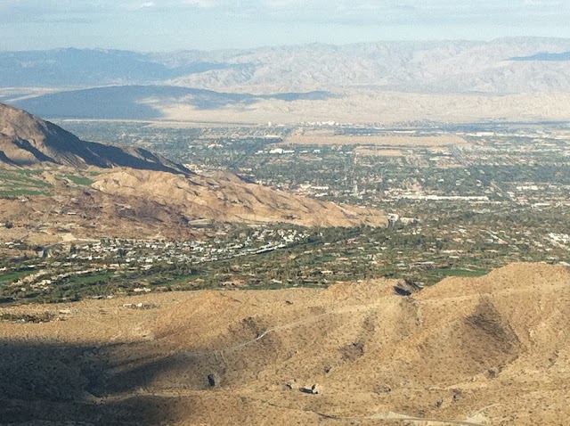 Palm Desert