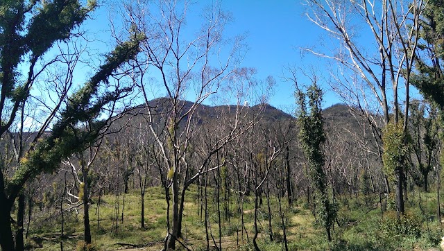 Warrumbungle National Park
