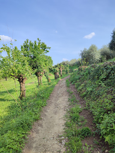 Sentiero Training - Thumbnail