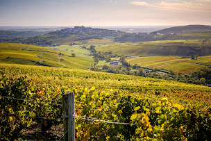 Photo n°3 de Domaine SERGE LAPORTE à Sancerre (Cave à vins)