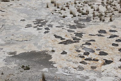 Clayton Lake dinosaur tracks