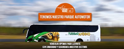 travel-agency