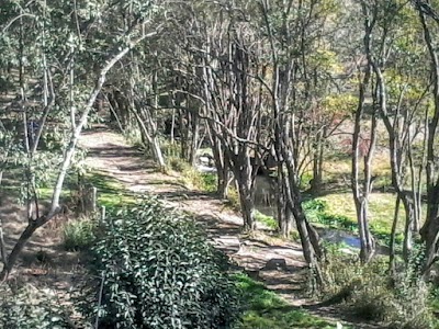 Photos of CARMELOT