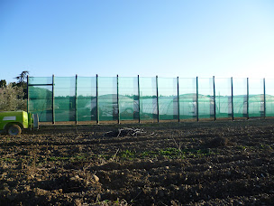 Photo n°8 de SAS DU PLAN Filets Palissage à Robion (Travaux généraux)