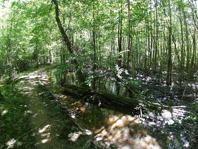 Cole Creek nature trail