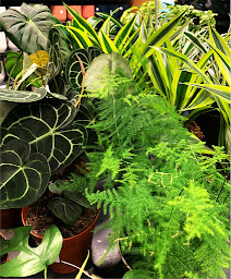 Photo n°45 de Truffaut à Bordeaux (Animalerie)