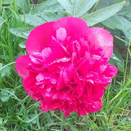 Photo n°15 de Ferme Val'é'Jean à Le Syndicat (Ferme à visiter)