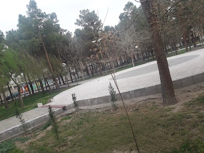 Photos of City Park