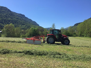 Photo n°41 de SAS FAURE ET FILS et FAURE JARDINAGE Crest - Massey Ferguson - Husqvarna - Stihl - Honda - Kubota à Crest (Concessionnaire de remorques utilitaires)