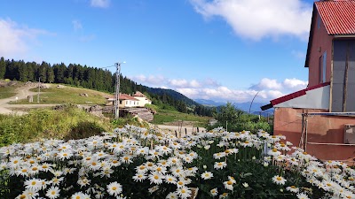 Kulakkaya Yaylası Giresun