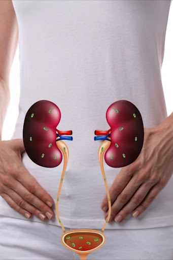 Our experienced Urologist in Bareilly offers personalized care for UTIs, kidney infections, bladd… post image