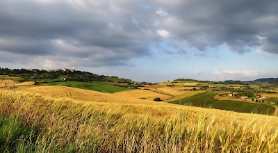 Guida Turistica Siena e provincia Sara Mammana