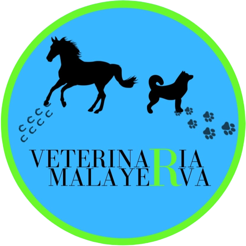Veterinaria Malayerba