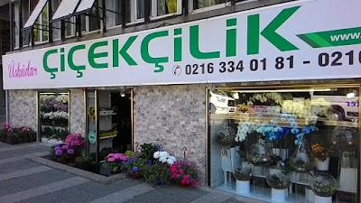 Photos of Uskudar Floriculture