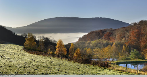 LOGIS BOURGUIGNONS - Thumbnail
