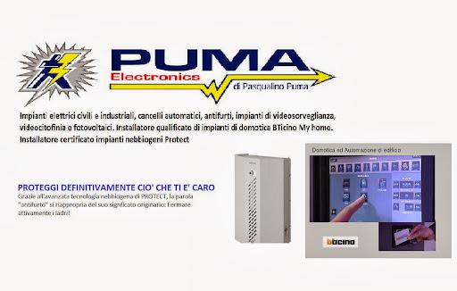 PUMA ELECTRONICS - Visual