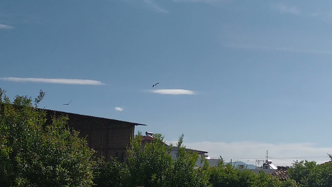 Megusto coffee-pizza-crepa