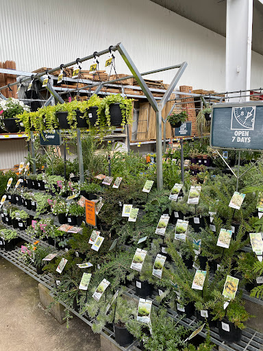 Bunnings Fairfield - Thumbnail