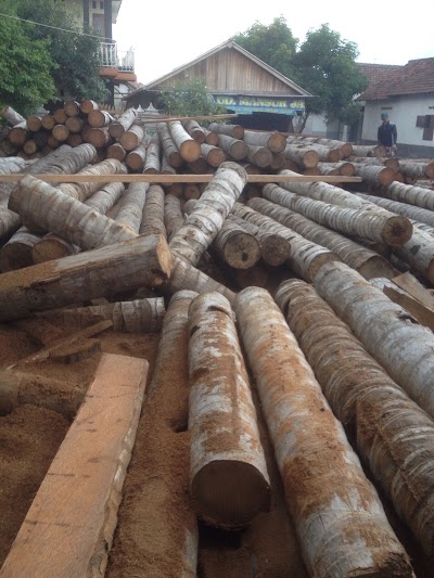 Photos of UD. Mansur Jaya Spesialis Kayu Kelapa