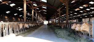 Photo n°15 de La Ferme BURET EARL à Mûrs-Erigné (Vendeur de viande en gros)