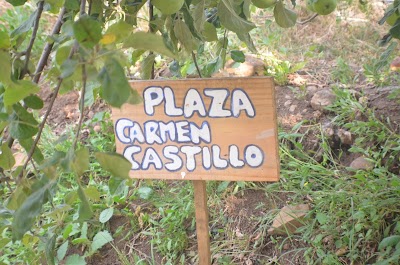 campground