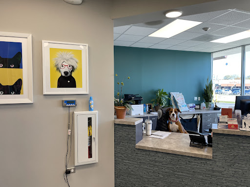 Highland Park Veterinary Clinic - Thumbnail
