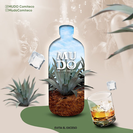 MUDO Comiteco - Visual