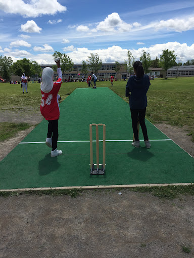 Lafrange Cricket Pitch - Thumbnail