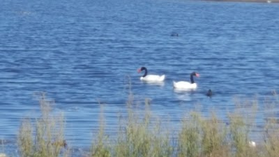 Photos of Estuario De Cartagena