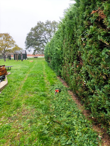 Photo de SCJ17 - Clôtures Maçonnerie Espaces verts à Corme-Royal (17600)