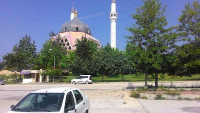 Çukurova Üniversitesi Maliye Bölümü