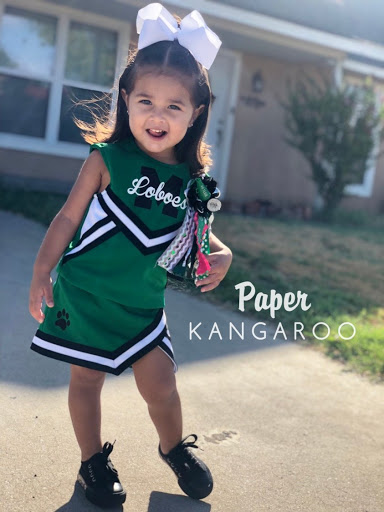 Paper Kangaroo - Visual