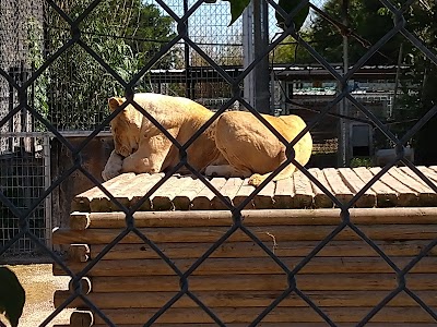 The Greater Wynnewood Exotic Animal Park