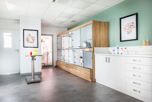 Féli'Santé Clinique Vétérinaire Féline - Vétérinaire