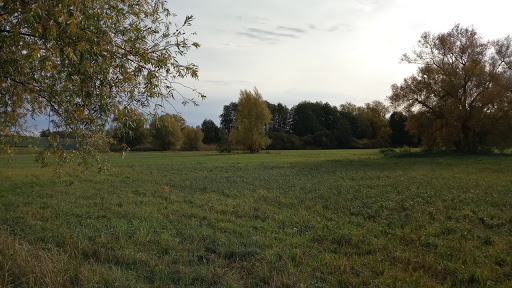 Weidenspiel - Visual