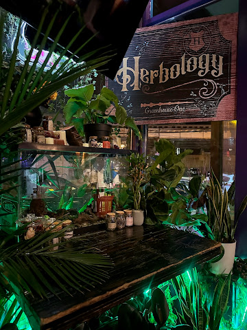 Neon Gardens by null