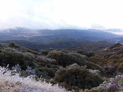 Photos of Thomas Mountain