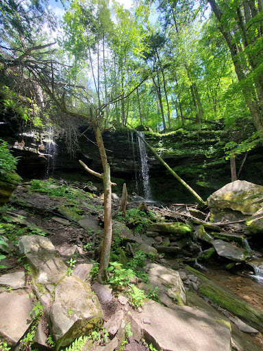 Jacoby Falls - Visual