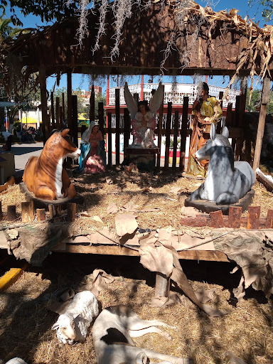 La Toña - Visual
