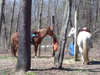 Photos of Tippecanoe River State Park