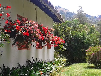 Photos of cocina, campo y madera