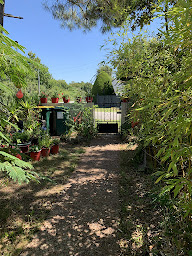 Photo n°33 de 'Aux Trois Saisons' à Piriac-sur-Mer (Maison de vacances)