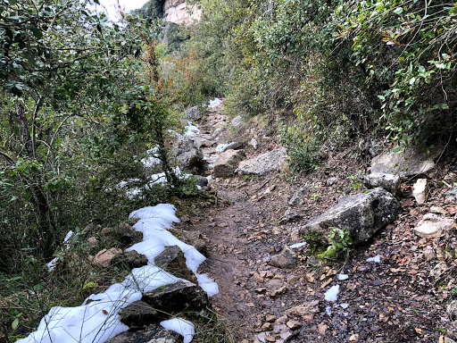 Camí de Les Tosques Gallery - Spain