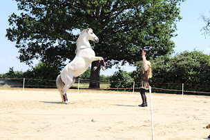 Photo n°16 de Ferme équestre du Grand Épinay à Yèvres (Hôtel bien-être)