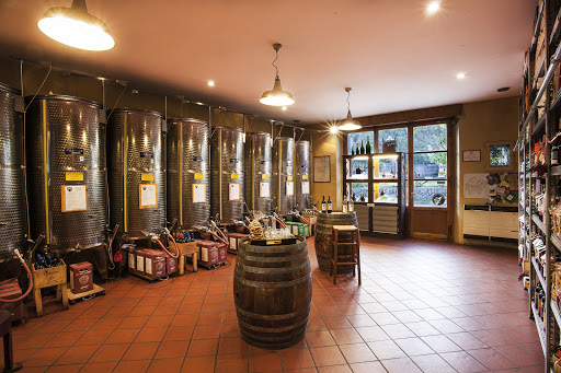 Cantine Zanieri - Visual