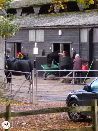 Great Bookham Equestrian Centre - Thumbnail