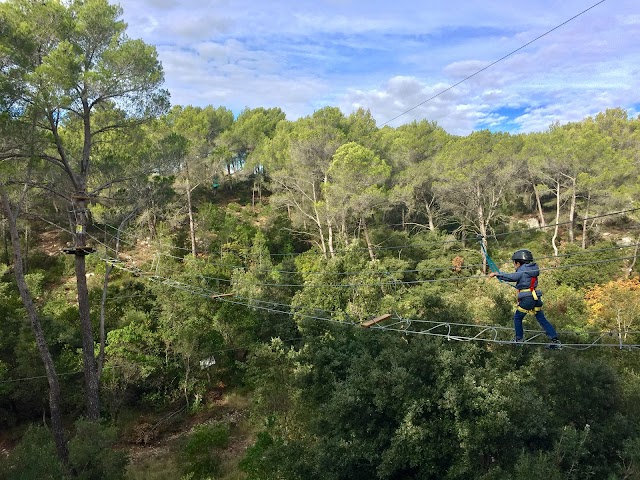 Le Royaume des Arbres