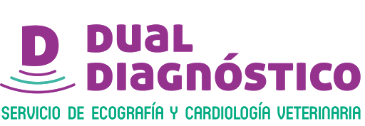 Dual Diagnóstico - Thumbnail