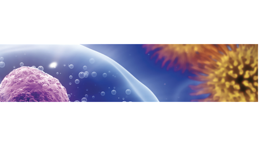 Metro Infectious Disease Consultants Gallery - United States