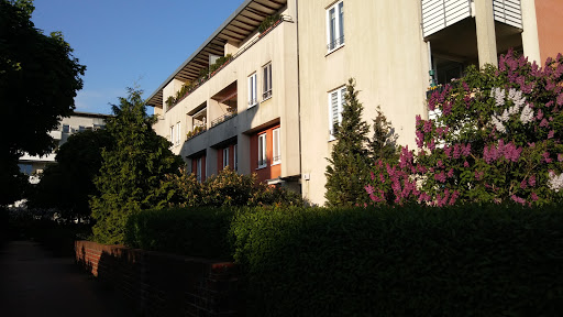 Berlin, Arnouxstr. - Visual